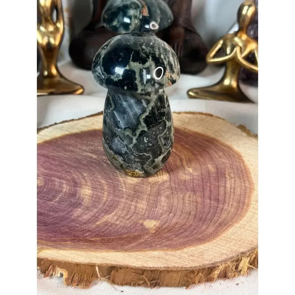 Ocean Jasper Mushroom